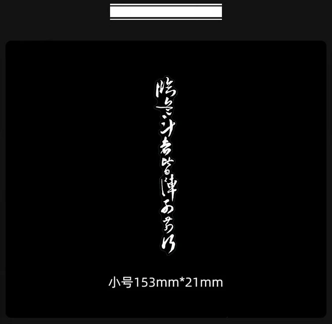 자전거 스티커 데칼 CAN YOU 헤드 튜브 레이싱용 MTB 로드 바이크 프레임 스티커 사이클링 액세서리 데칼 방수 자외선 차단, 01 White, 1개