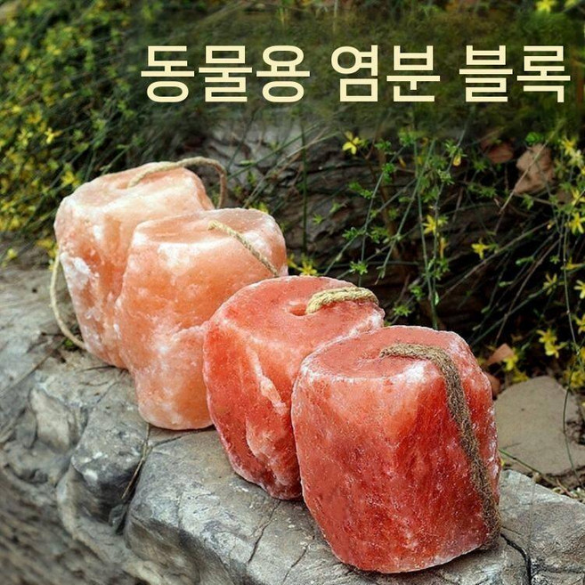 동물용 나트륨 미네랄블럭 소금 축사 젖소 말 송아지 영양제, 1개