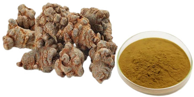 30배 농축 삼칠 전칠삼 추출물, 1개, 1kg