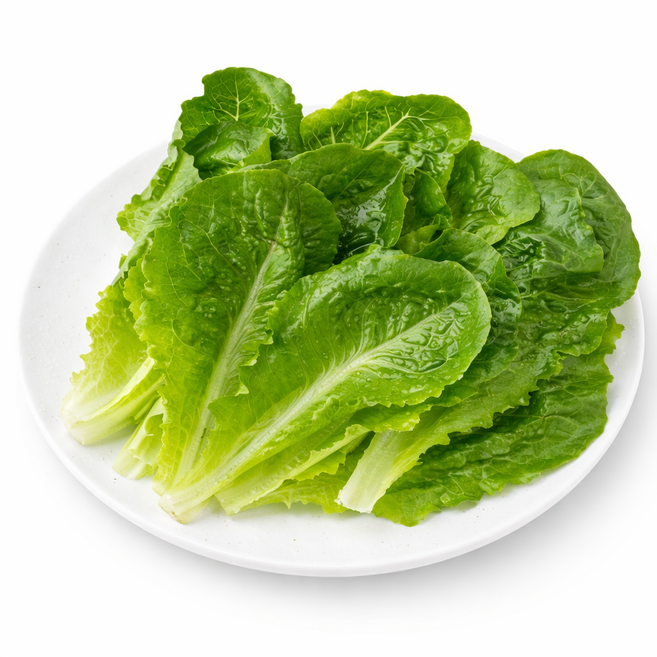 온파머스 잎 로메인 상추 가락시장 당일경매, 1개, 200g