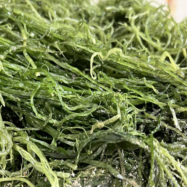 전라남도 완도산 프리미엄 씨포유 염장 청꼬시래기, 1kg