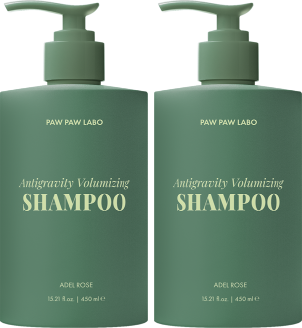 저자극 비건 안티그래비티 볼륨 탈모 샴푸, 2개, 450ml