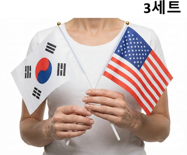 집회 행사용 가벼운 태극기 성조기 세트, 3세트, 기본