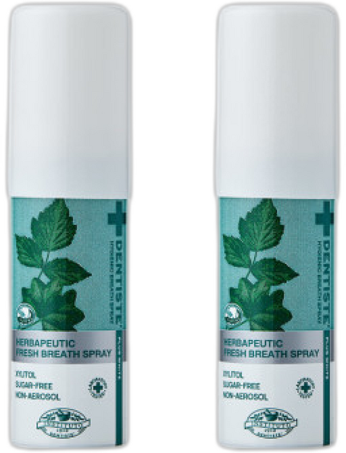 덴티스테 후레쉬 브레스 스프레이, 2개, 1L