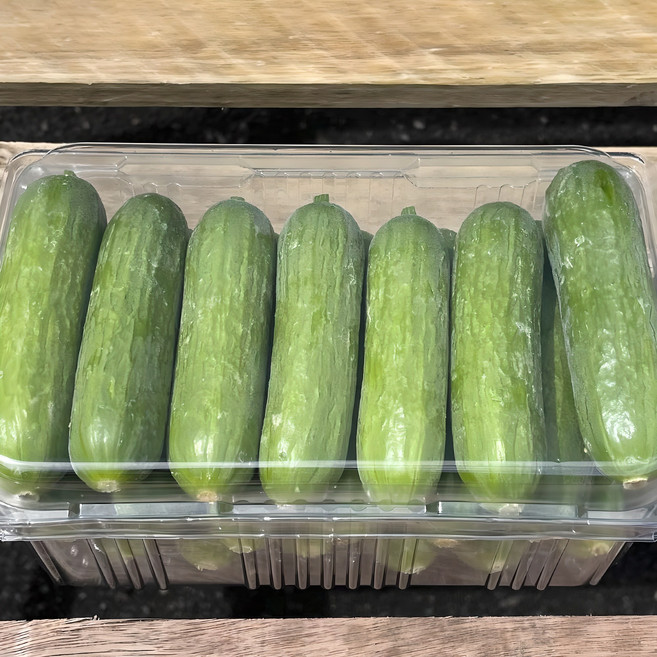 국내산 피콜리노 미니오이 1.5kg (20~24개 내외), 1.5kg(20~24개), 1개