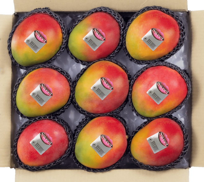 [항공직송] [당일배송] 애플망고 페루 직수입 브라질 프리미엄 대만 생망고 가정용 세트, 1박스, 3.8kg