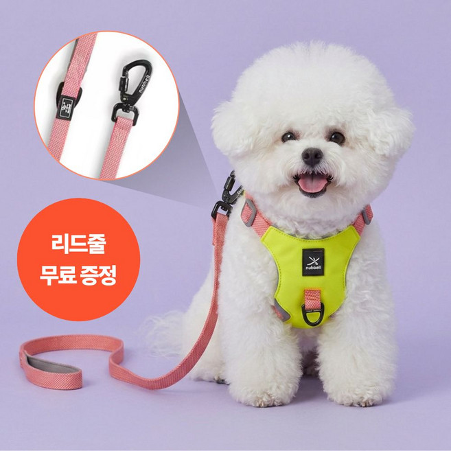 닥터메디펫 강아지 초경량 하네스 리드줄 세트, 1개, 레드