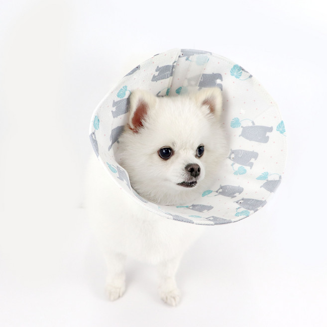 펫케어솝 인견 넥카라 흰색L, 1개