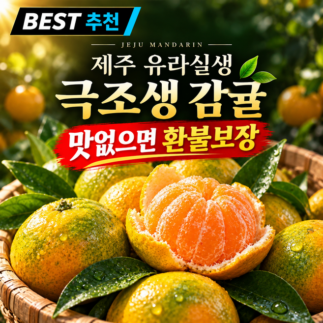[첫출하 특가] 제주 극조생 노지감귤 유라실생 햇귤 산지직송, 1박스, 10kg