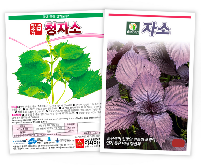 [주주씨앗] 시소씨앗 2종세트 차조기 자소 씨앗 청자소3g 적자소2g 종자 씨앗몰, 1개
