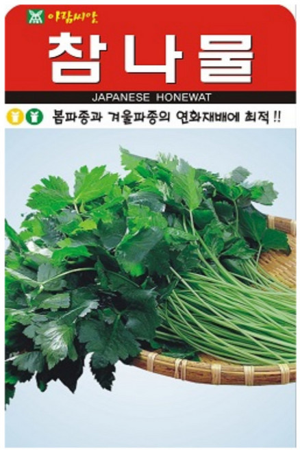 아람종묘 참나물 씨앗 1000립, 1개