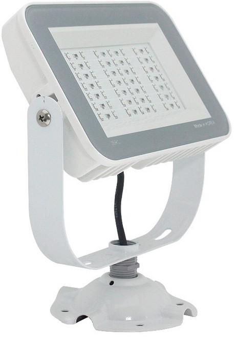 LED RGB 투광기 50W 노출 투광등 색변환 DC 24V 경관조명 간판조명 간판등 방수 국산 야외 컬러투광기 칼라투광기 RGB투광기 색변환투광기 점멸 디밍, 1개