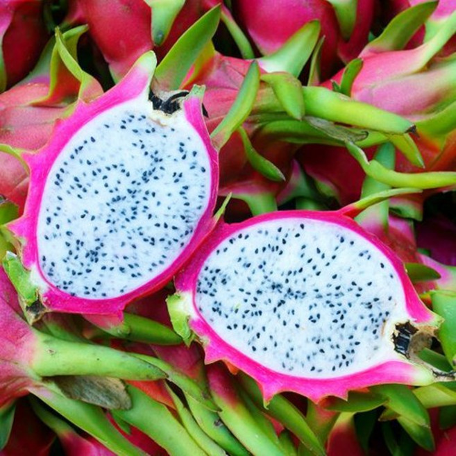 특별한선물 당일발송 프리미엄 용과 실속구성 1kg 내외 (2과) 2.5kg 내외 (5과) 5kg 내외 (10과) 이색선물 열대과일 용과, 10과(5kg내외), 1개