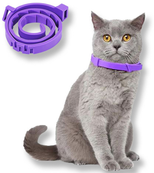 반려마음 카밍 칼라 고양이 페로몬 하악질 합사 목걸이 긴장 완화, 60g, 1개