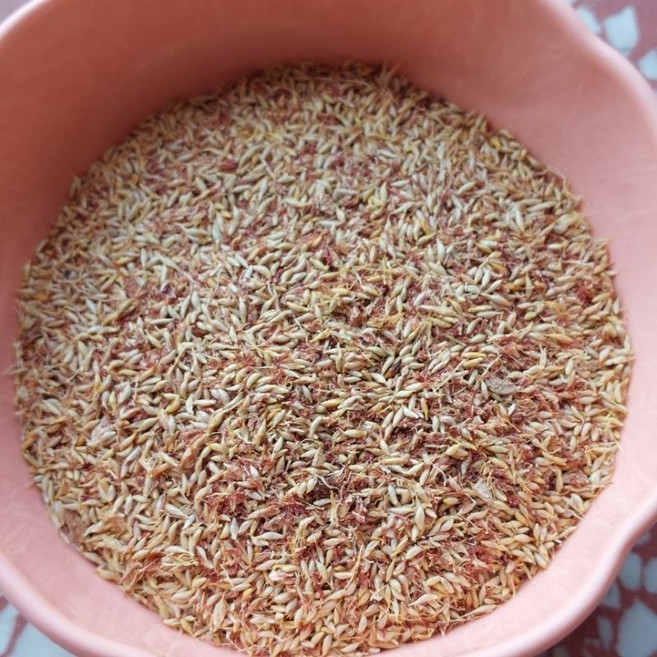 金協和 阿里山愛玉籽 200g, 1個