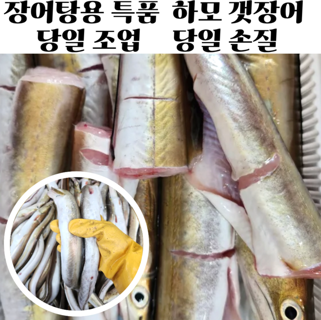 손질 갯장어 장어탕용 장어 하모 샤브샤브용, 4개, 탕용 갯장어 800g