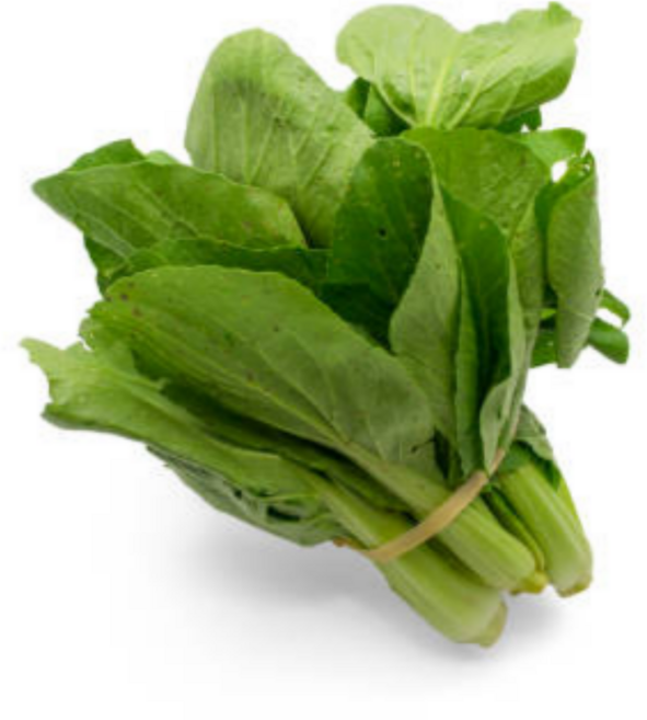 [굿피플] 여수돌산갓 갓 돌산갓 생갓 갓김치 [돌산갓 5kg], 5kg, 1개