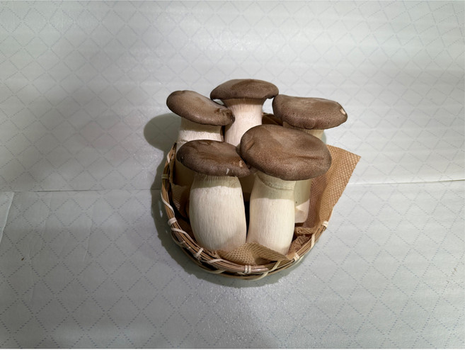 팜n팜 친환경 새송이 버섯, 1박스, 새송이 특 1kg