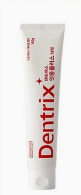 덴트릭스 잇몸플러스 치약, 160g, 24개