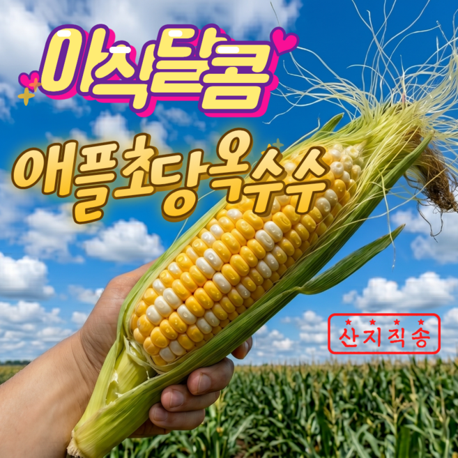 [산지직송] 애플초당옥수수 지금만 먹는 제철 고당도 아삭달콤 생으로 먹는 생옥수수 당일수확, 1박스, 10개