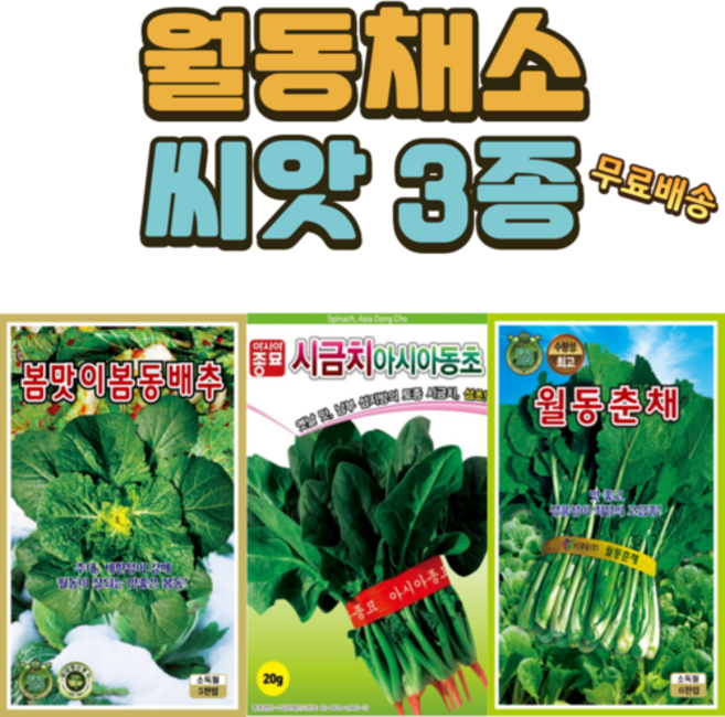 씨앗팜 월동 채소 씨앗 3종 세트 봄동배추 섬초시금치 월동춘채 씨앗 종자, 1세트