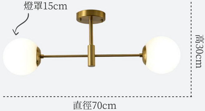 雨果燈飾 雙燈吸頂燈 鋁絲球/白玉球/煙灰球可選 E27燈座 走道/客廳適用, 奶白球,12w LED玉米3000K 較好看均光