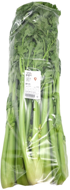 의령농산 건강채소 국내산 간편손질야채 샐러리 300g, 1개