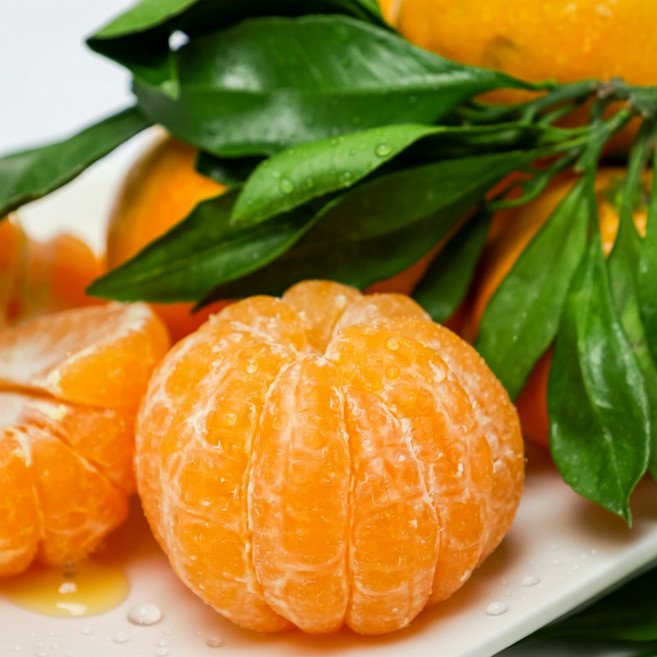 제주 산지직송 햇 카라향 프리미엄 고당도 신선보장 감귤 1박스 대과, 1개, 대과 3kg