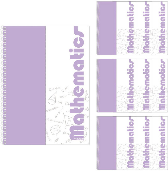 클라리온 1200 수학 스프링노트 10권, C 퍼플