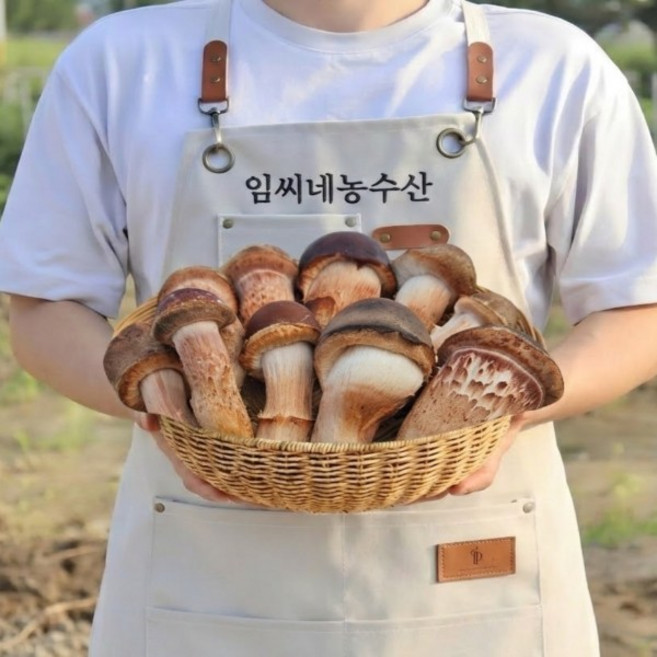 농가직송 국산 참송이버섯 재배 버섯, 1개, 상품1kg
