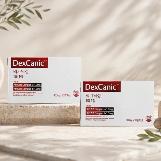 덱카닉정 dexcanic 30일분 30정 2개, 2박스 - 쿠팡