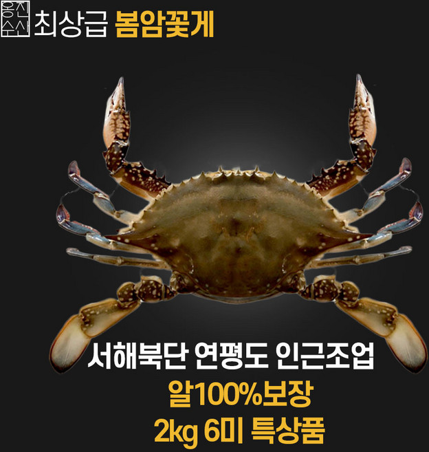옹진수산 알100프로 암꽃게 특대3미 사이즈 봄꽃게 연평도 꽃게, 1개