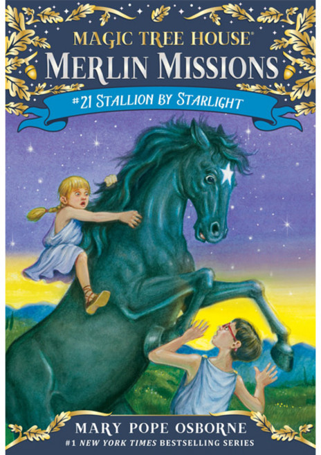 매직트리하우스 Merlin Mission 멀린미션 21 영어원서, 단품