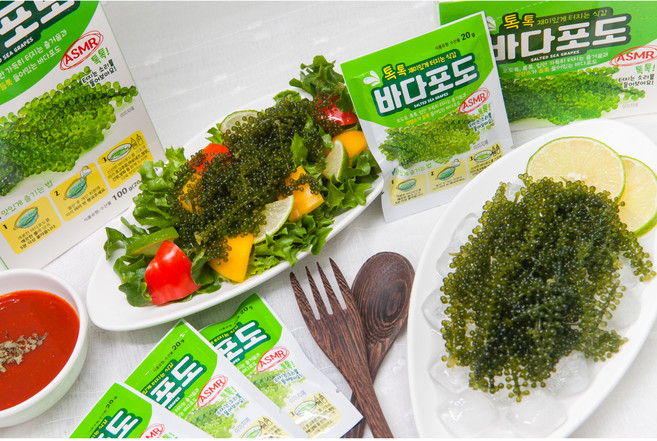 바다포도 10p, 200g, 1개