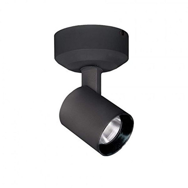 WAC Lighting Lucio LED 10W Monopoint, 블랙, 비대칭 빔, 1개