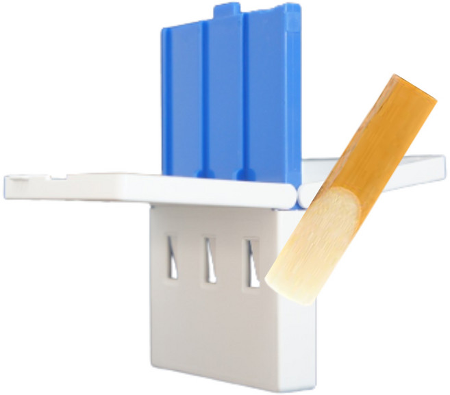 특허 색소폰 클라리넷 리드케이스, 1개