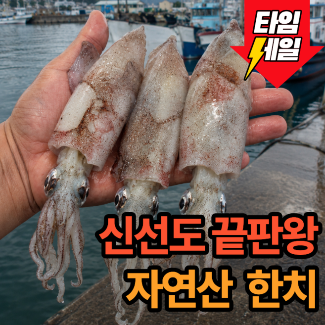 [신선도끝판왕] 신선한 자연산 제철 한치, 1개, 1kg