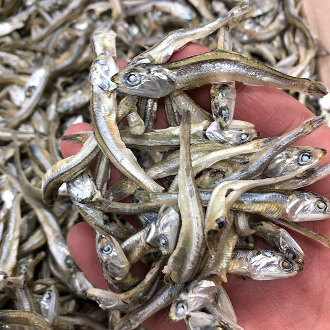 신건호멸치 안주/조림용 햇 고바멸치(특품) / 소멸치 볶음멸치, 1박스, 1.5kg