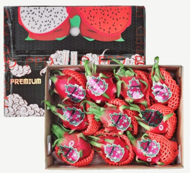 [다인푸른농장] 베트남 용과 총 5kg (9-10과), 9개