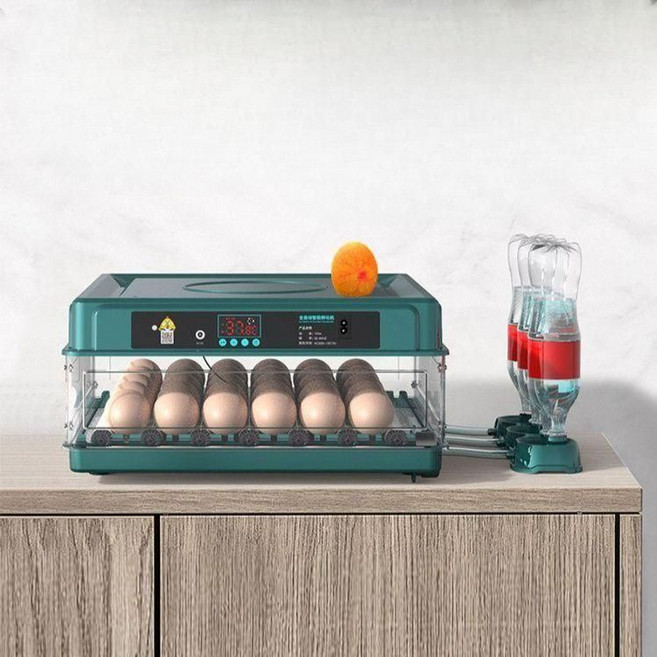 부화기 달걀 알 자동부화기 계란 거위 인큐베이터 병아리 가정용, 녹색 48구 완전 자동 이중 전기