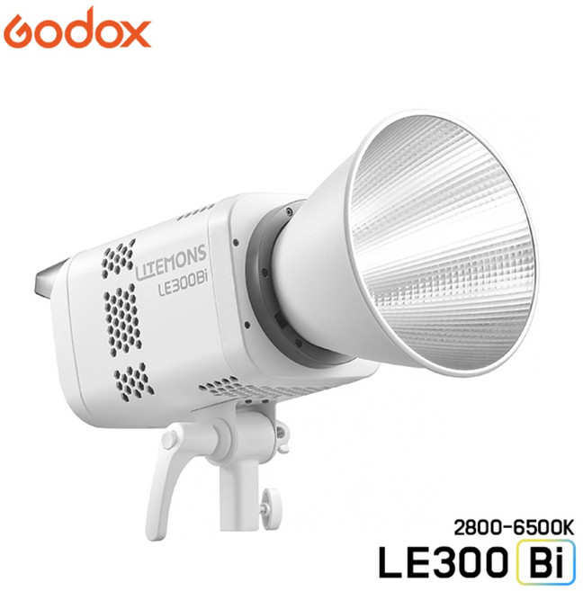 GODOX 고독스 LE300Bi / 바이컬러 사진 유튜브 영상 제풀촬영 지속광 개인방송 조명, 1개