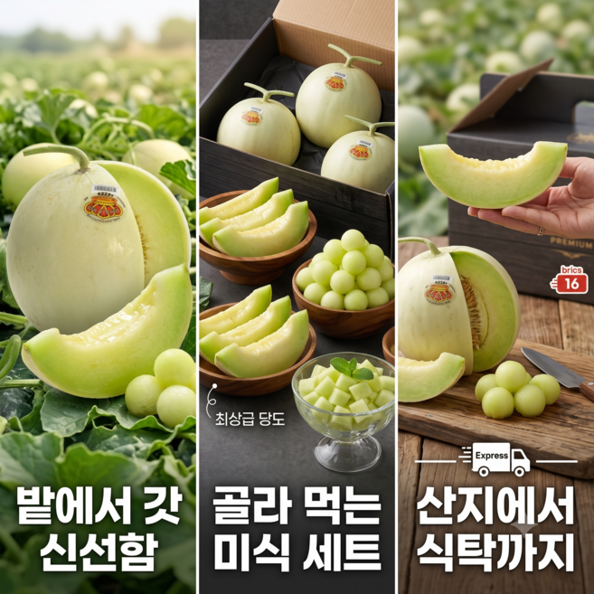 [프리미엄 고당도] 산지 직수입 허니듀메론 아이스크림메론 메론 1.8kg 내외, 1개, 중대과