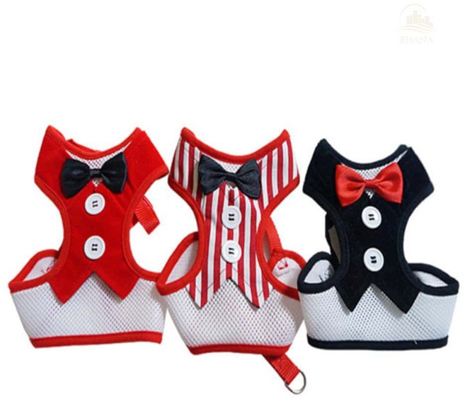 조은하나 안아픈 하네스 레드, M, 1