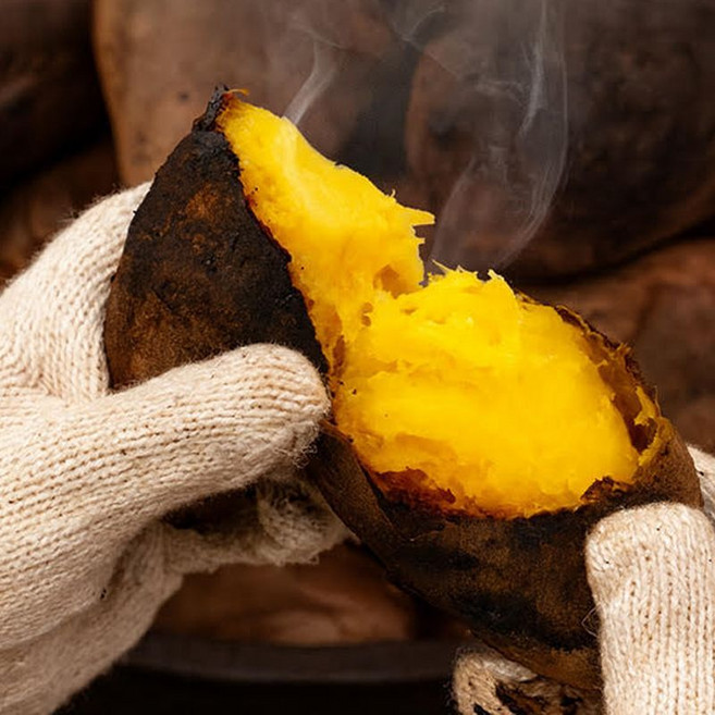 화산농협 특등급 해남 황토 고구마 2종 (호박고구마 4kg+꿀고구마 4kg), 1세트, 8kg