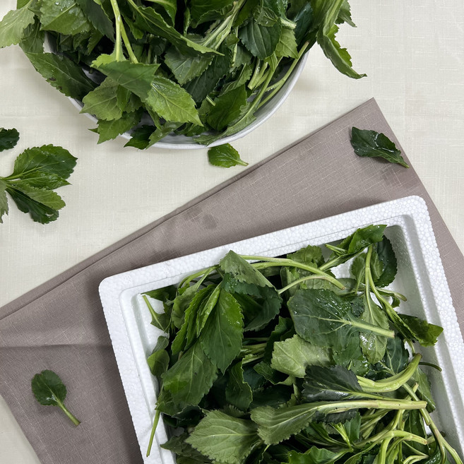 국내산 생 취나물 신선한 봄나물 제주취, (생)취나물 1kg, 1kg, 1개