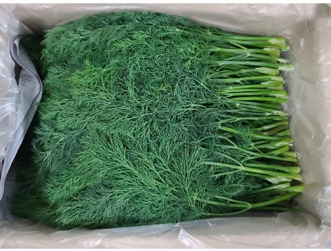 레몬딜 허브딜 생딜 1박스(1k내외), 1개, 1kg