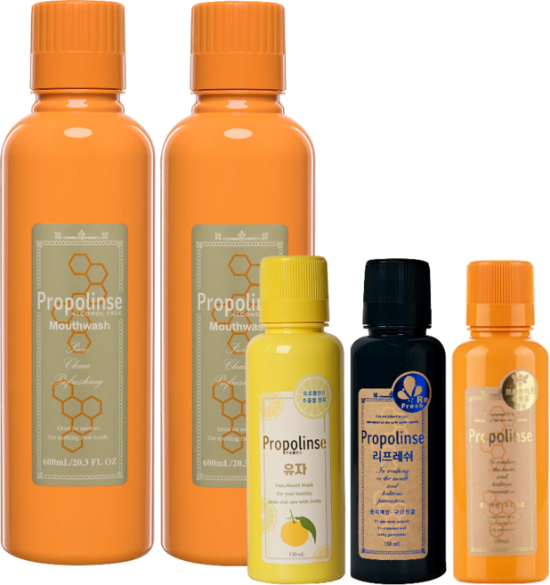 프로폴린스 프로가글 600ml 2병+프로150ml+유자150ml+블랙150ml, 1개