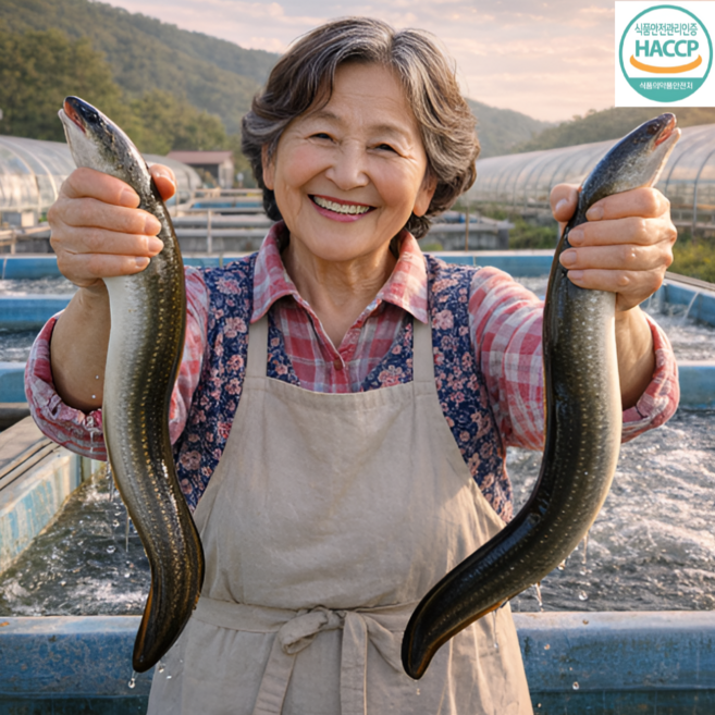 장군댁 풍천 장어 초벌 민물장어, 1세트, 초벌 1kg