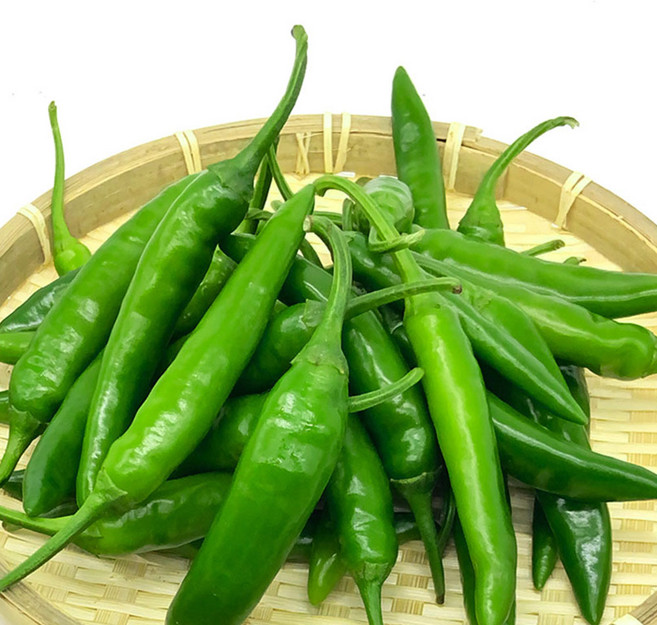 아삭아삭 매운 국산 청양고추 특품 맛있게 매운 땡초 고추, 1박스, 청양고추 500g