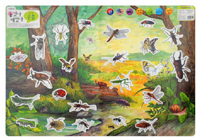 [그린키즈] 붙였다 떼었다_벽보_학습놀이 6종 중 택1(세이펜가능), 곤충, 그린키즈, 곤충
